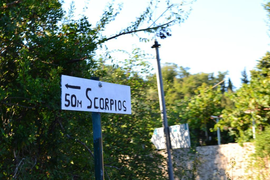 Scorpios Apartments ดัสเซีย ห้อง รูปภาพ